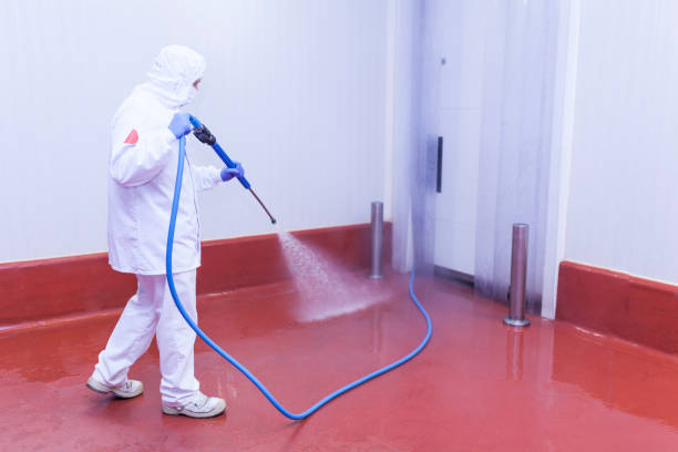 Professional Pressure Washing Services in Elon, NC